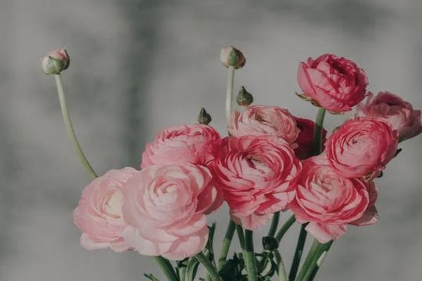 信泰百万守护健康告知是什么？投保建议有哪些？