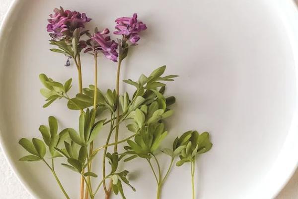 重大疾病险案例具体分析，重大疾病保险的保障范围是什么？