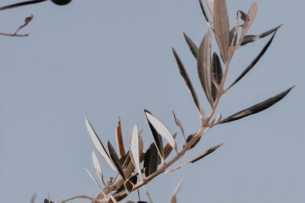 儿童医疗保险哪种好？应该怎么选？