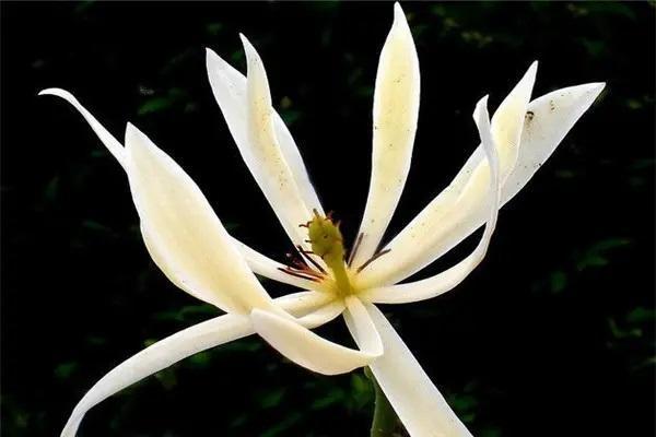 健康险保费是怎么计算，保险条款具体有哪些