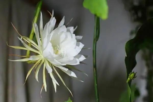 特定意外伤害保险是什么？主要分类有哪些？