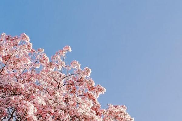 理财产品理财的渠道有哪些？ 哪种渠道比较好？