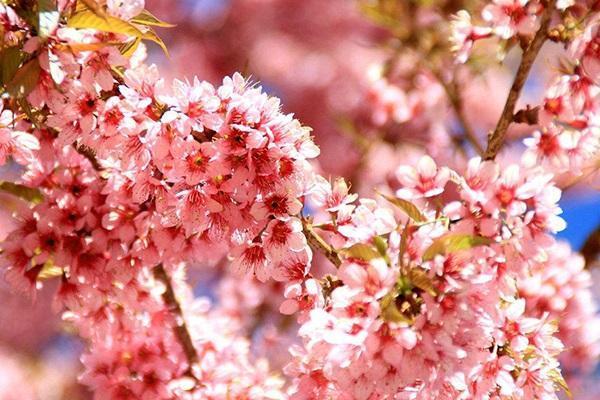 买银行的理财产品保险吗？银行理财产品是否可以购买？