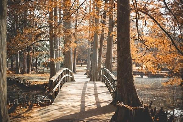 什么是社会保险？社会保险和医疗保险的区别有哪些？