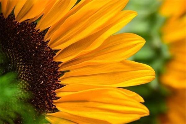 什么是保险理财、银行理财？保险理财和银行理财的区别