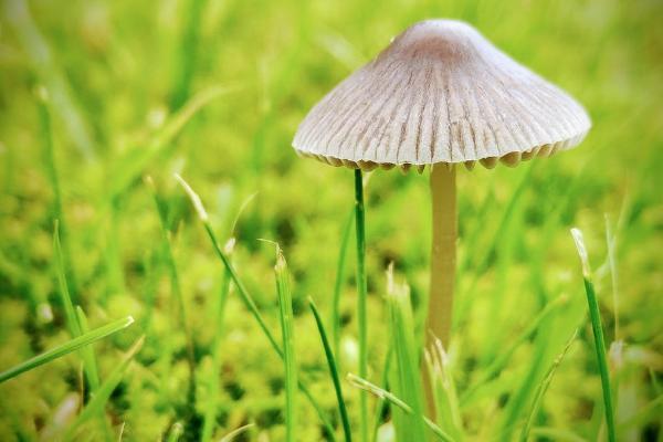 续保车险提前多久？续保要注意什么？