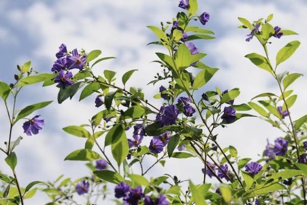 商业险退保能退多少？怎么退才能损失最小？