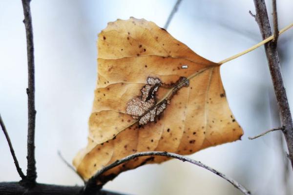 人保快速理赔流程车险是怎样的？需要哪些资料？​