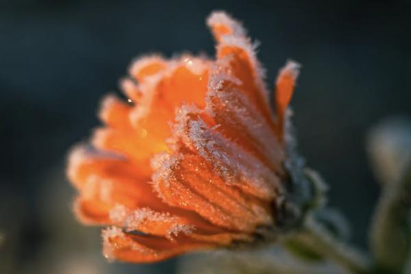 中国太平百万医疗险价格表在哪里看？值得买吗？