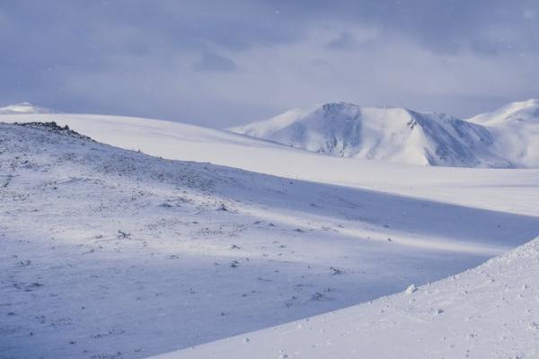 怎么投诉保险公司？投诉保险公司有用吗？
