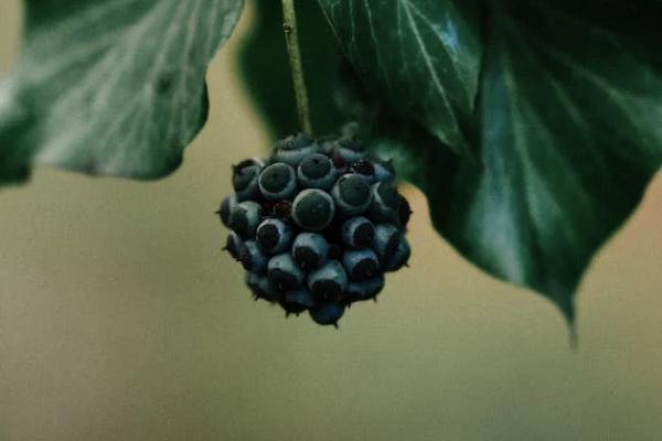 增额终身寿险降息是真的吗？靠谱吗？