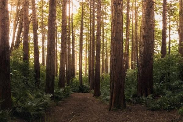 养老保险几岁退休？退休可以领取多少？