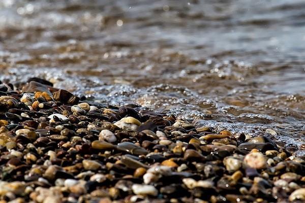 平安意外保险保单查询要注意什么，需要哪些材料