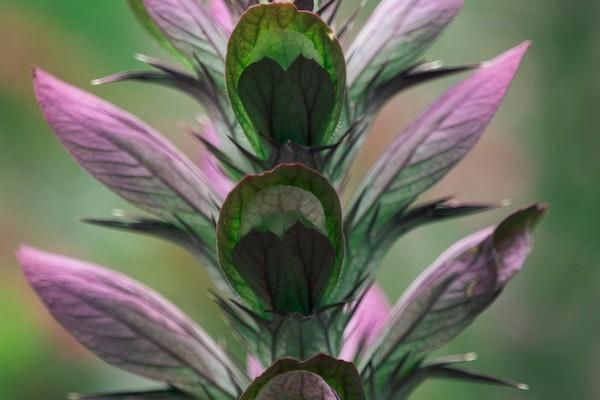 香港居民医疗保险怎么使用，查