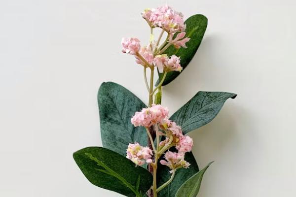 什么叫公共交通意外险，公共交通意外险和意外险区别有哪些