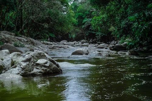 平安福交了七年后退保要多久到账呢，退多少钱