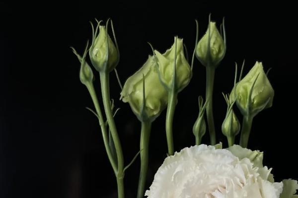 一般给小孩买份重疾保险一年多少钱，附避坑指南与选购技巧！