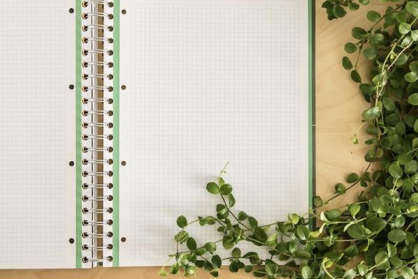 老年人买重大疾病保险多少钱，有用吗