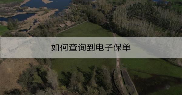 买内地保险优先选择什么险种，要交多少钱呢