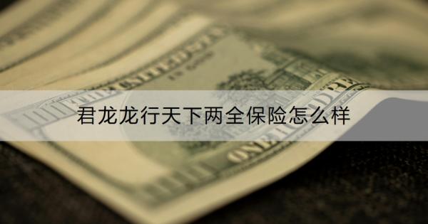 君龙龙行天下两全保险怎么样？优势+保障内容介绍！