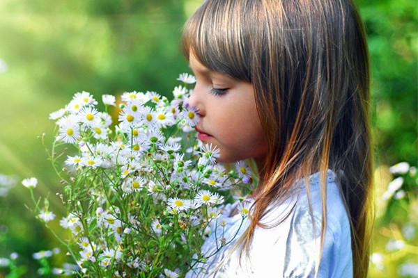 2017养老保险不能补交的情况有哪些？2017养老保险最新政策是什么？