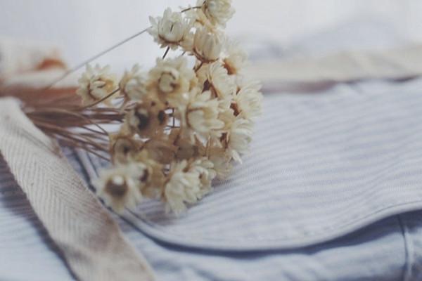 住房公积金在哪交?住房公积金缴纳流程怎样?