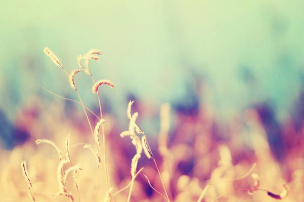 人保车险理赔流程有哪些？人保车险有必要买吗？