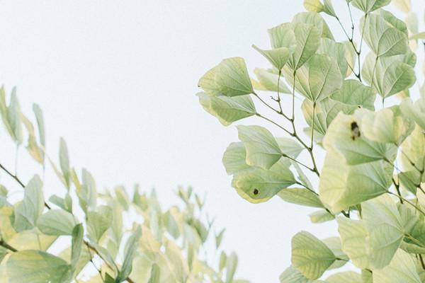 商业医疗保险上门吗？商业医疗保险购买技巧有哪些？