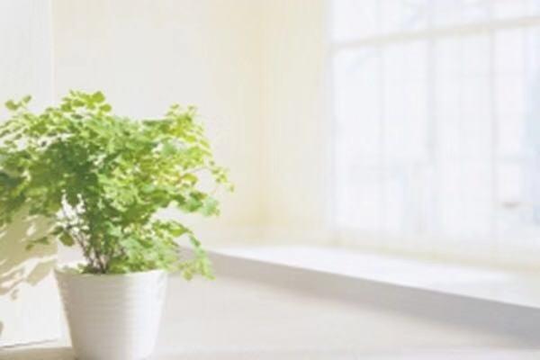 车险出险几次不打折？