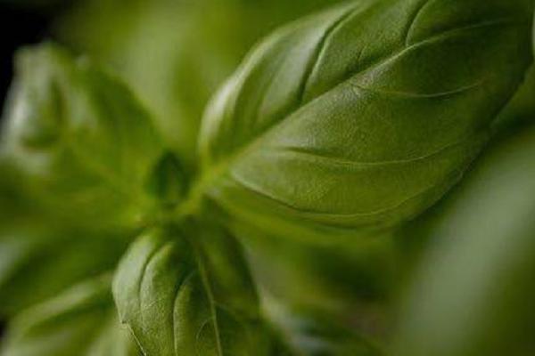 车险可以提前半年买吗?续保该注意哪些事项?