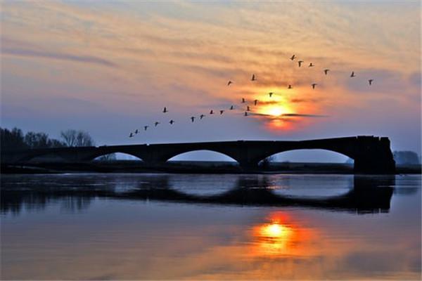 太平专属防癌险有哪些？太平专属防癌险怎么买？