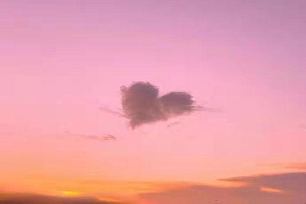 中国人寿父母防癌险的基本条款是什么？中国人寿父母防癌险的保障责任是什么？