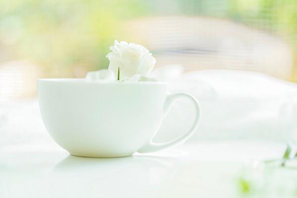 支付宝买保险有保单吗？怎么查看？