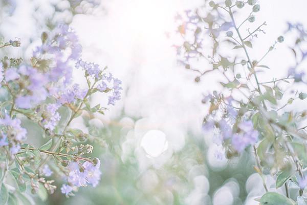 车险什么节日买最优惠？