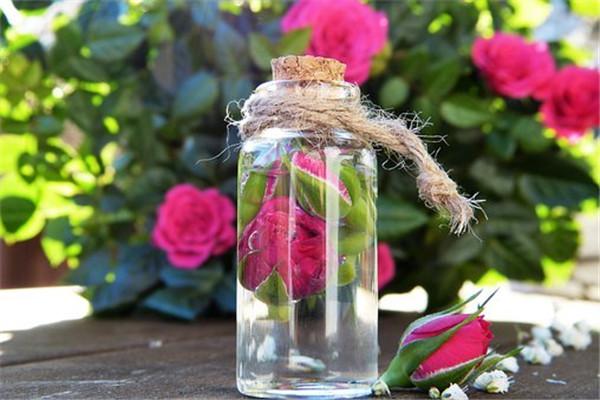 车险打折优惠规定是怎么样的？