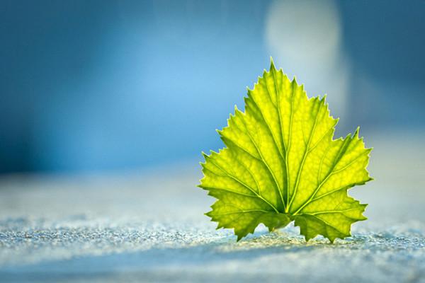 太平洋个人意外险价格是多少？太平洋个人意外险如何购买？