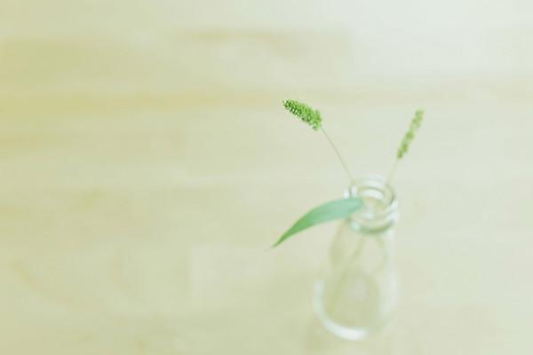 自然灾害能获得补偿吗?国家补助政策