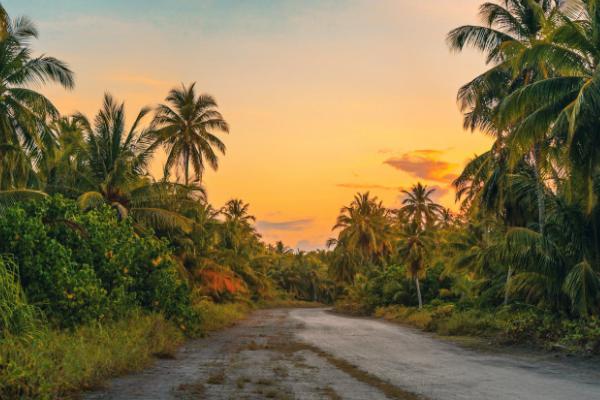 上海税延型养老保险怎么样?