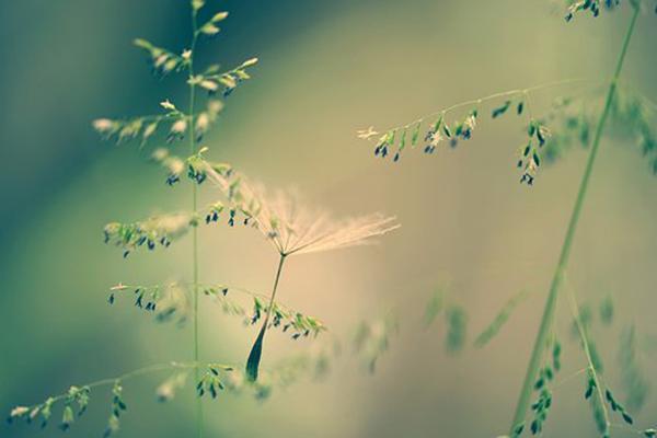 少儿医保参保缴费标准是多少？