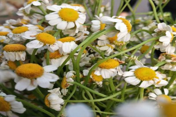 建筑业工伤保险费率如何计算？