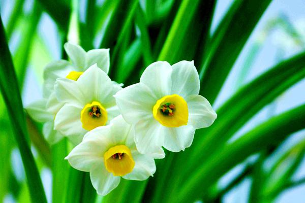 分期新车必须买全险吗?