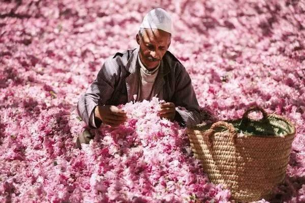 七座新车全险多少钱?