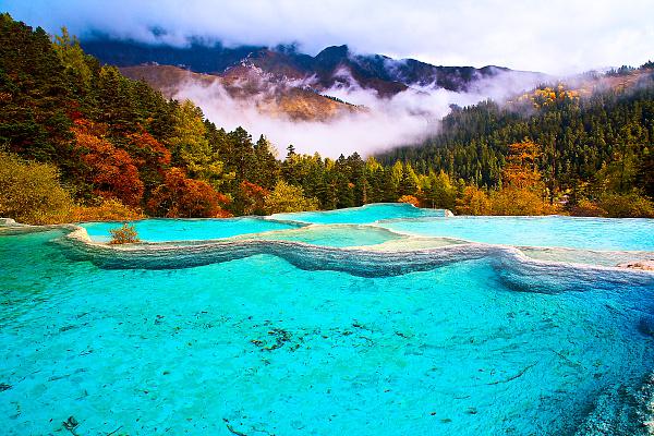 新车全险网上怎么查询?