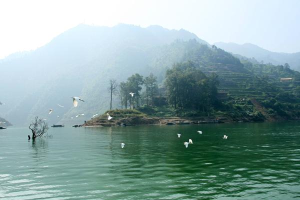 21万新车全险多少钱?