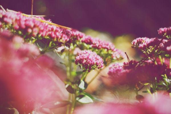 新车全险第二年多少钱?