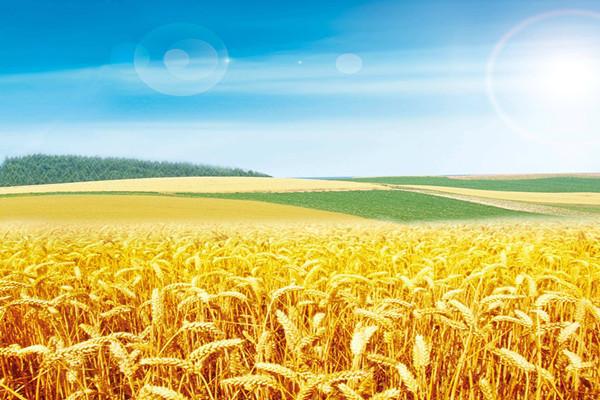 为什么新能源车保险贵?