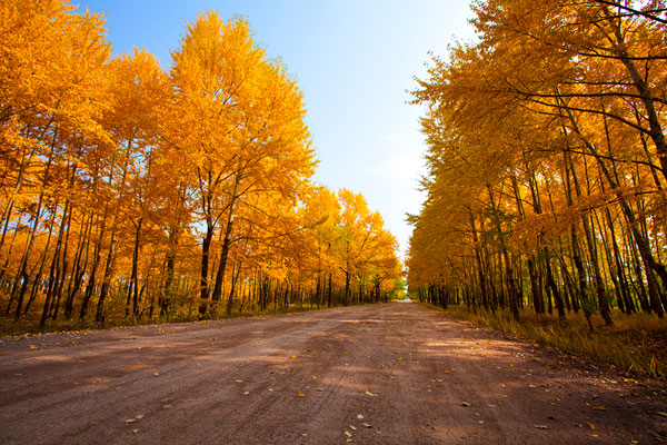 新能源车保险怎么计算?