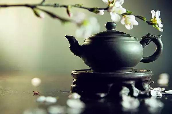 2017年生猪养殖保险新政策和标准