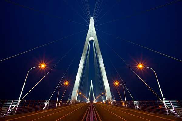 华农肉牛养殖保险条款