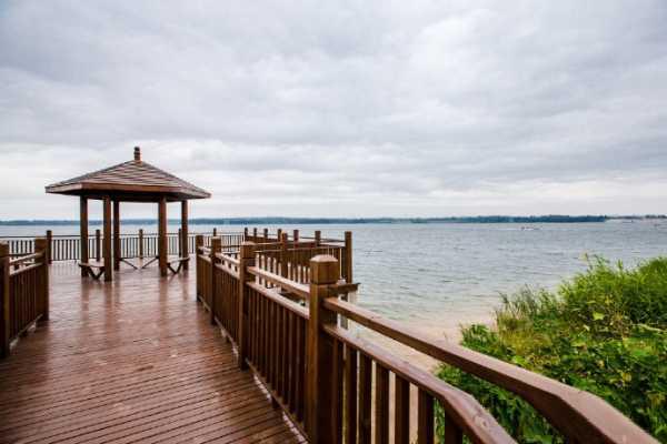 重庆家禽养殖保险怎么买?贵吗?